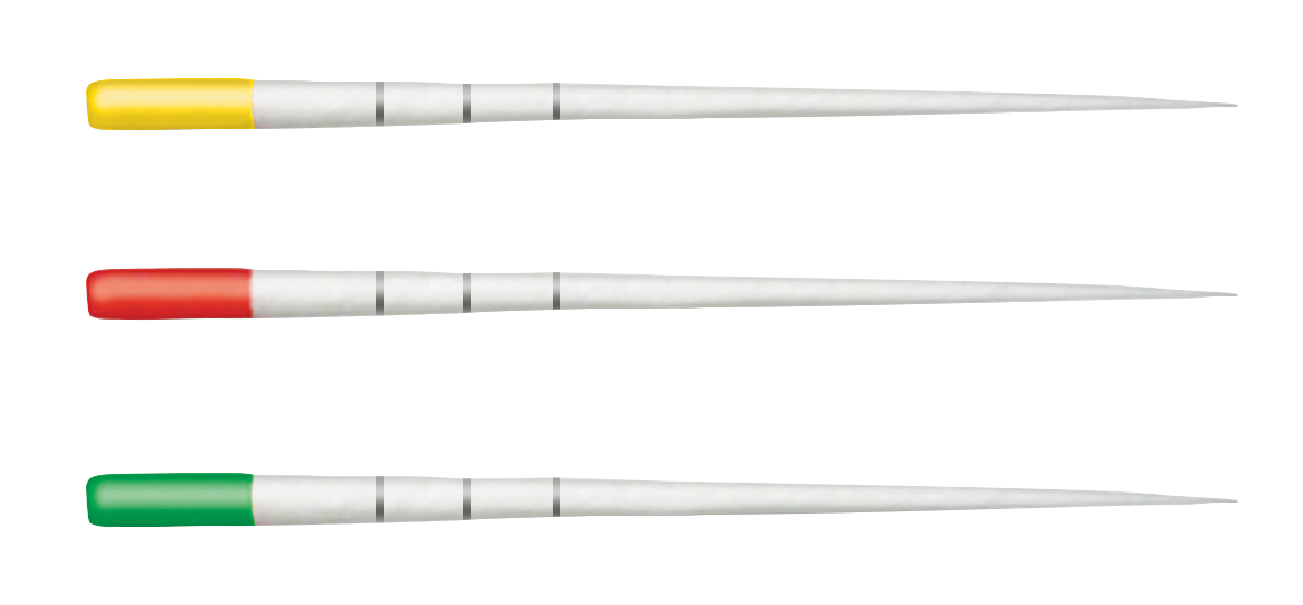 Trunatomy Paper Points