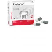 SEPTODONT BIODENTINE, 5 CAPSULES