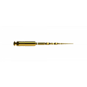 DENTSPLY PROTAPER ULTIMATE 19MM/SX