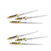 DENTSPLY PATHFILE 25MM ASSORTI