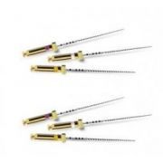 DENTSPLY PATHFILE 21MM/019