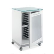 ZILFOR VERRIJDBAAR KASTJE VOOR