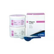 DMG SILAGUM PUTTY FAST, 2 x 262ML