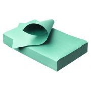 AKZENTA TRAYSERVET GROEN, 250 STUKS