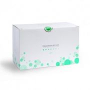 ULTRADENT OPALESCENCE PF 10% REFILL